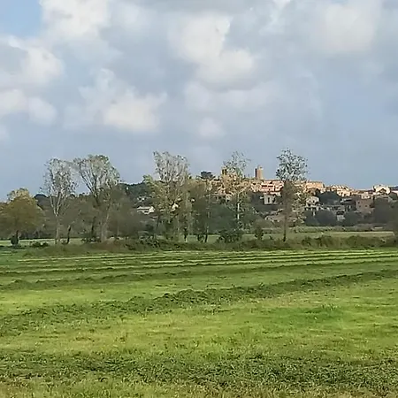 Happy Nest In Village Pals