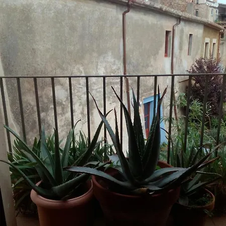 Happy Nest In Village Apartment Pals