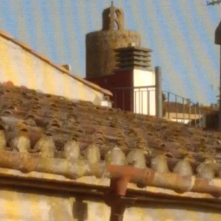 Happy Nest In Village Pals