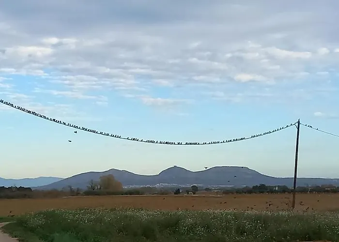 Happy Nest In Village パルス